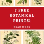 Free Floral Prints Post