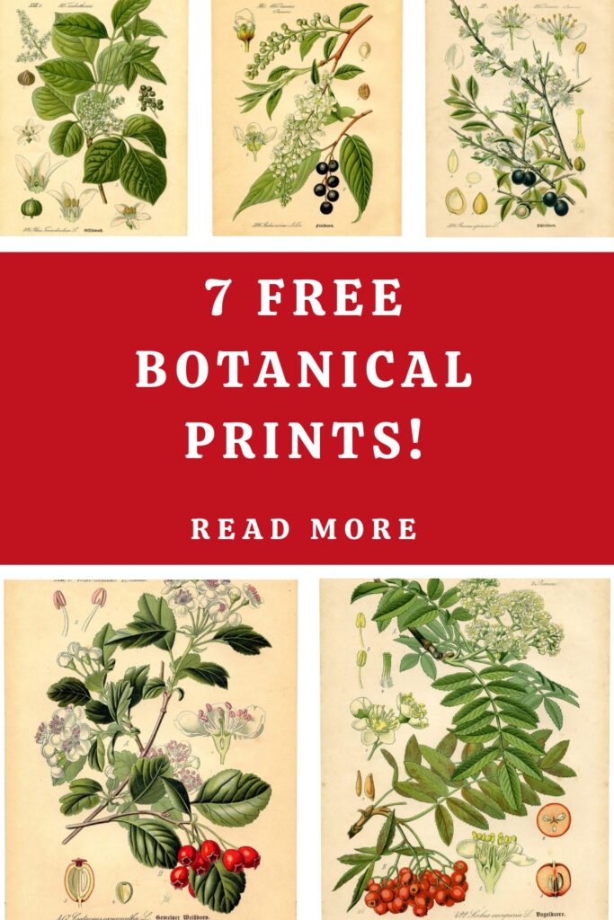 Free Floral Prints Post