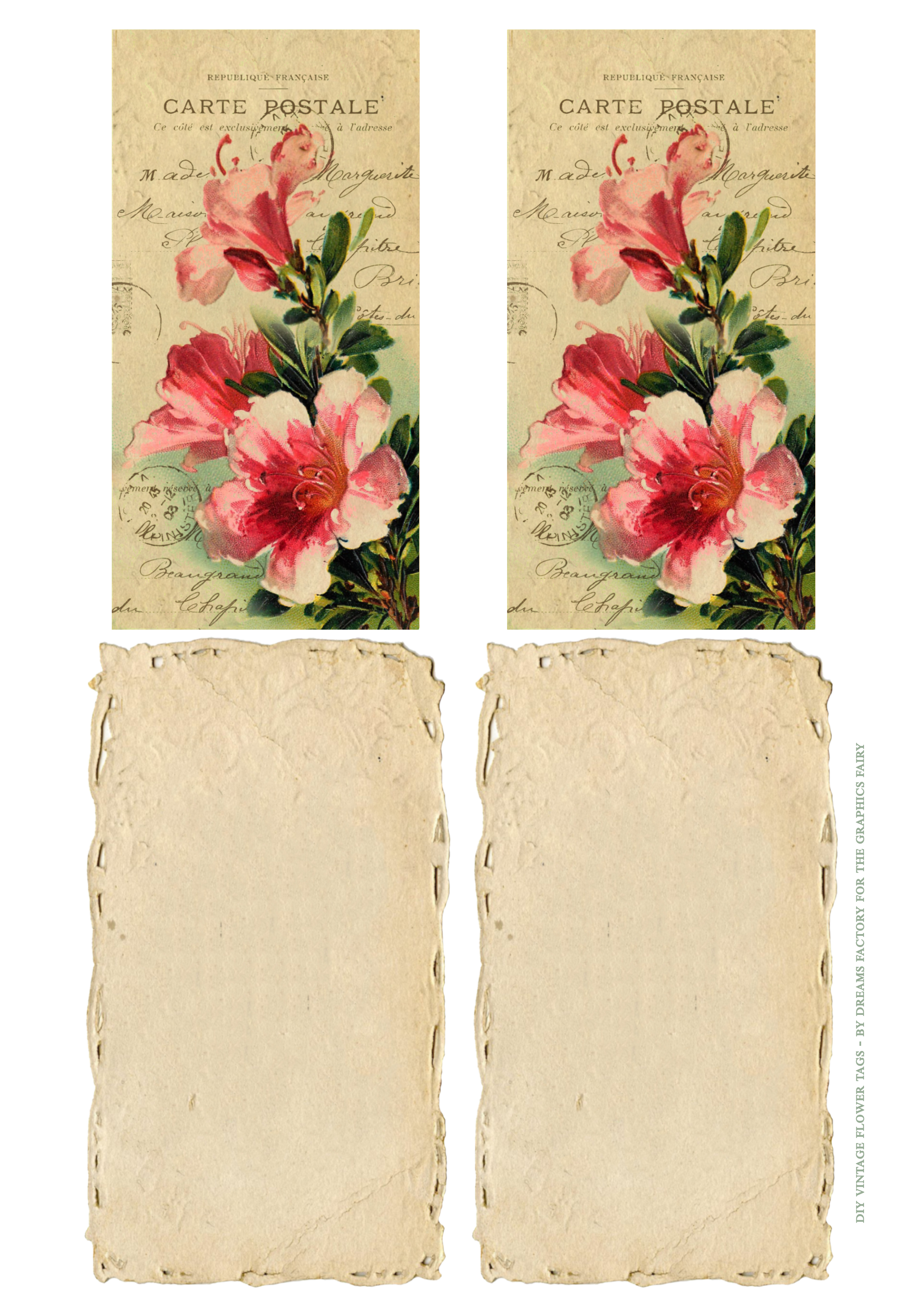 vintage azalea flower tags printable