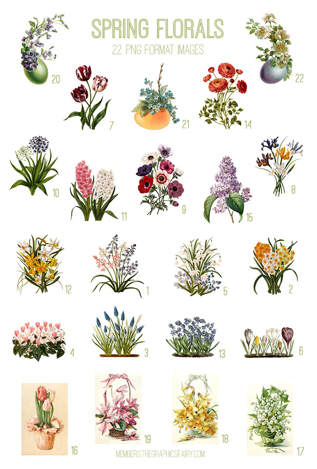 vintage Spring Florals ephemera digital image bundle