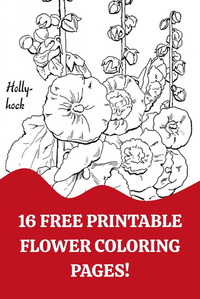 Free Printable Floral Coloring Pages Pin