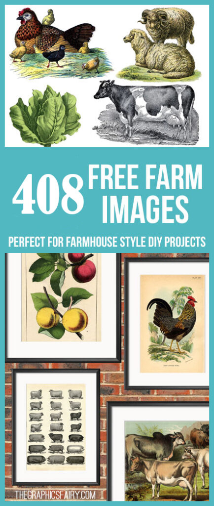 Best Farm Images