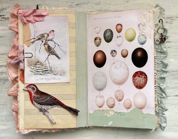 Journal spread with birds egg image