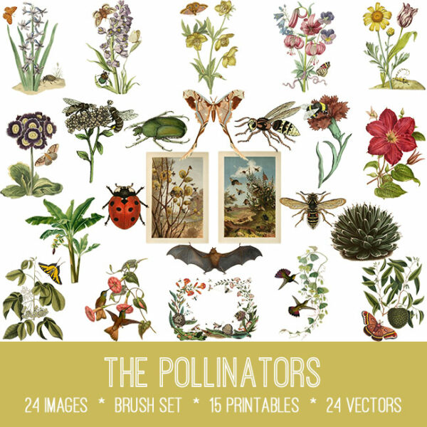 The Pollinators ephemera vintage images