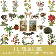 vintage The Pollinators ephemera bundle
