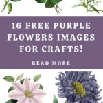 Free Purple Flower Images for Crafts