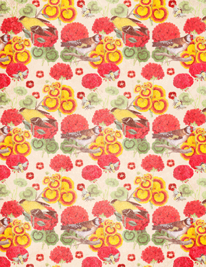 Goldfinches & Geraniums 8.5 x 11 inch printable paper