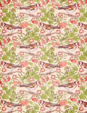 Goldfinches & Geraniums 8.5 x 11 inch printable paper