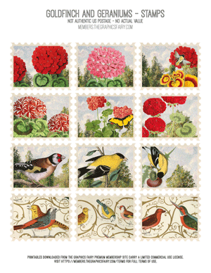 Goldfinches & geraniums assorted printable craft stamps