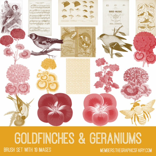 vintage Goldfinches & Geraniums ephemera brush set