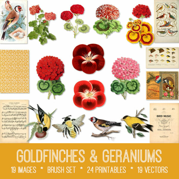 Goldfinches & Geraniums ephemera vintage images