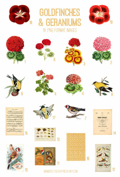 vintage Goldfinches & Geraniums digital image bundle
