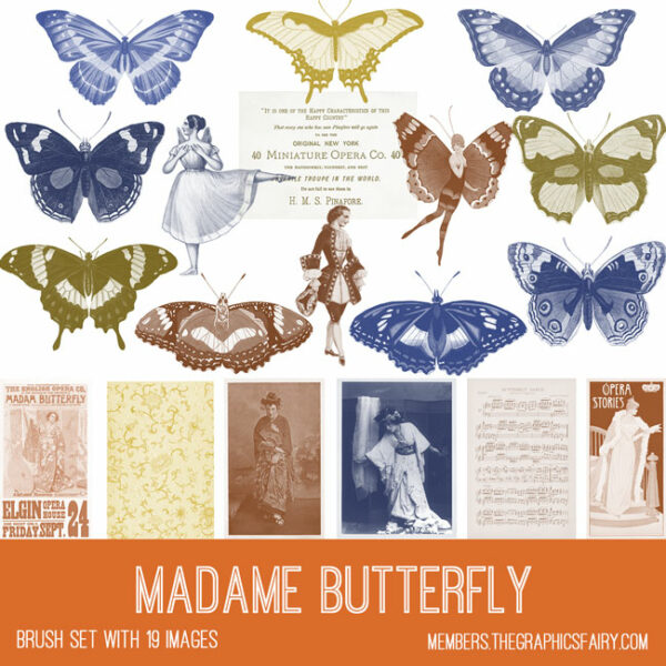 vintage Madame Butterfly ephemera brush set