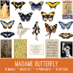 vintage Madame Butterfly ephemera bundle