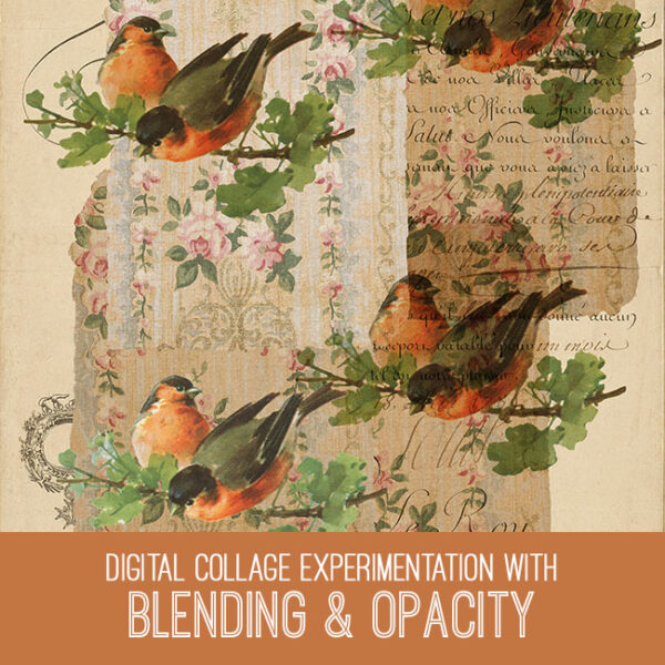Blending & Opacity Digital Collage Experimentation PSE Tutorial