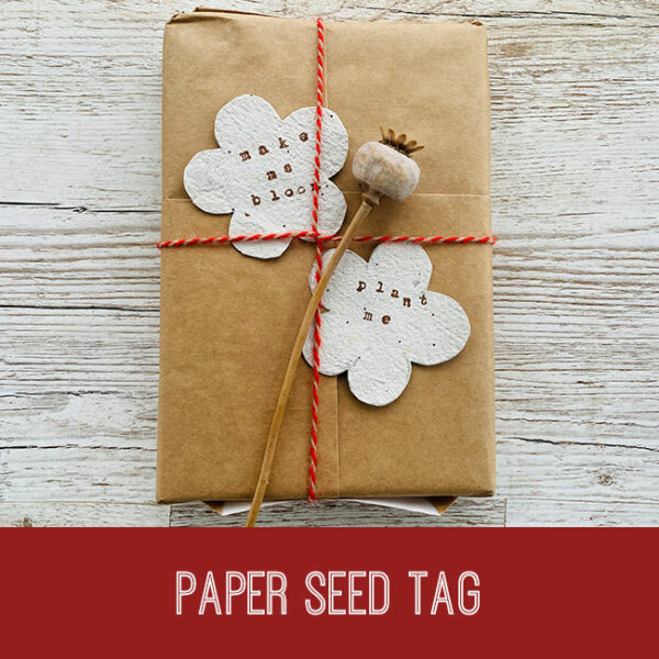 Paper Seed Tag Craft Tutorial