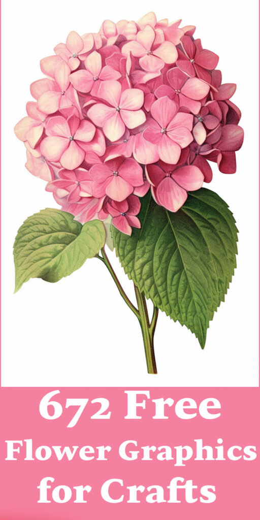 Free Flower Graphics for Crafts Pin