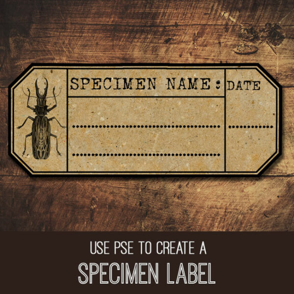 Specimen Label PSE Tutorial