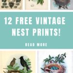 Vintage Nest Prints Pin