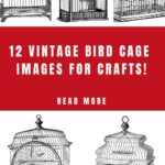 Bird Cage Images for Crafts Pin