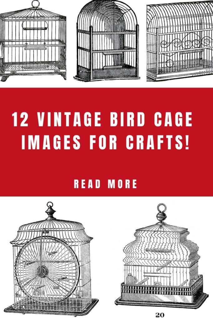Bird Cage Images for Crafts Pin