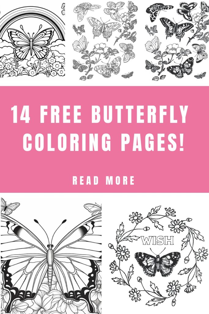 Butterfly Coloring Pages pin