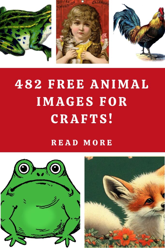 Free Animal Images Collage