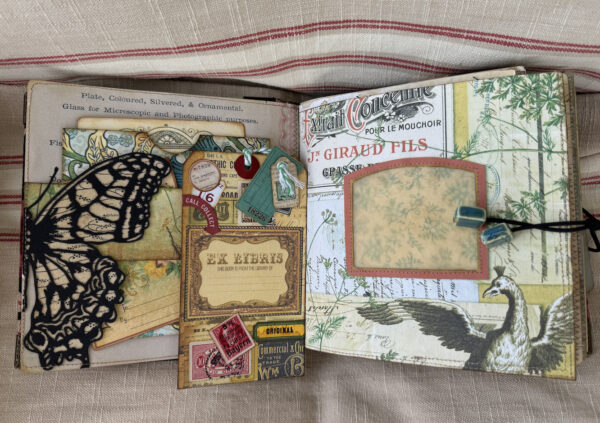 Journal spread with large butterfly