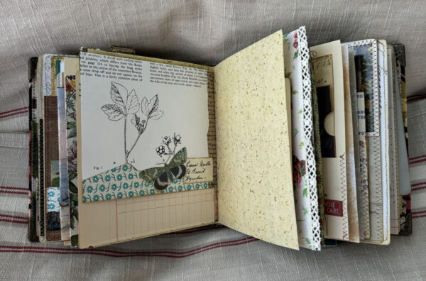 Journal page with butterfly image