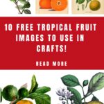 Tropical Fruit Pin Image