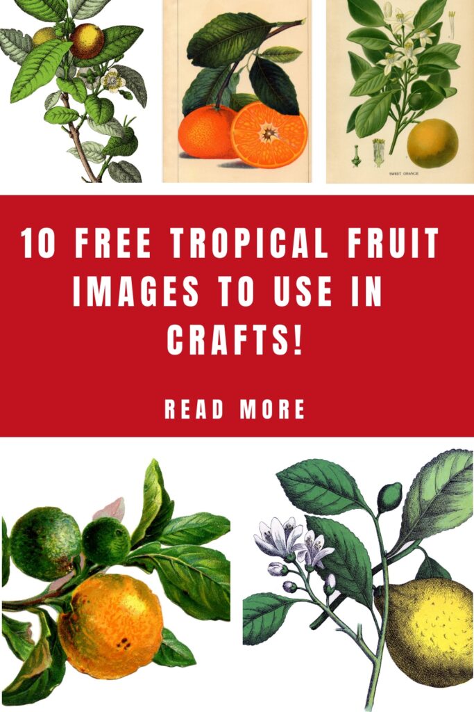 Tropical Fruit Pin Image