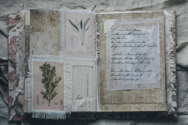 Journal spread with handwriting and sea weed images