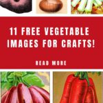 Free Vegi Images for Crafts