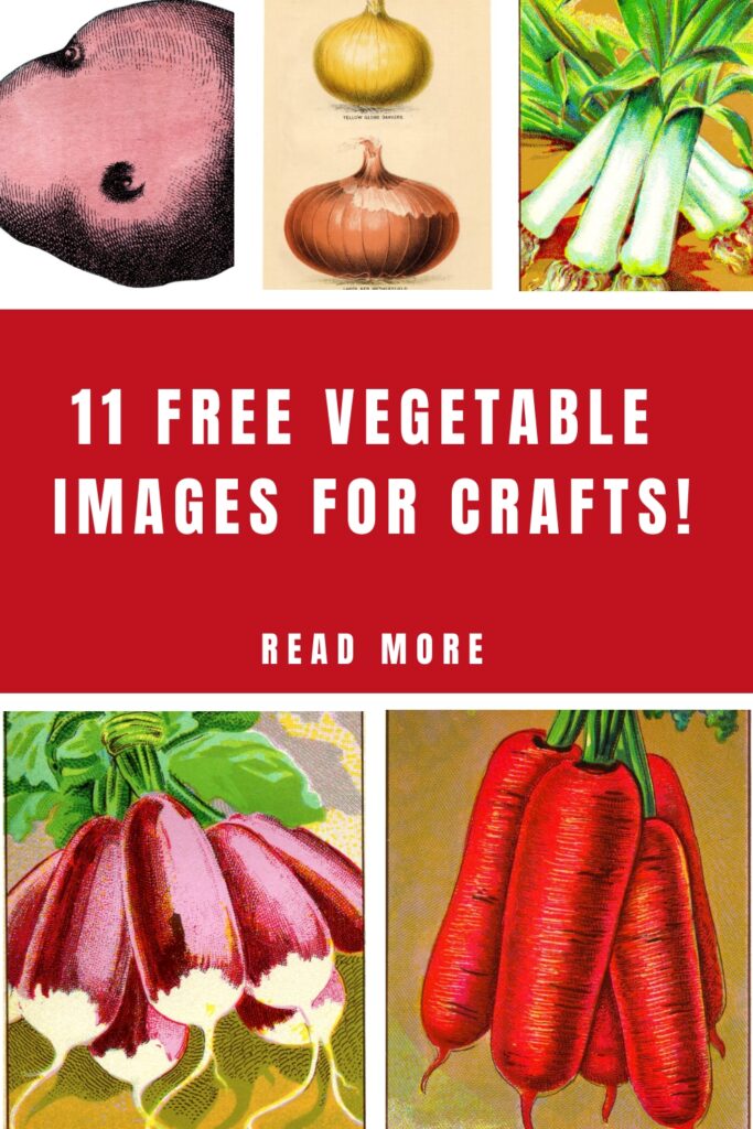 Free Vegi Images for Crafts