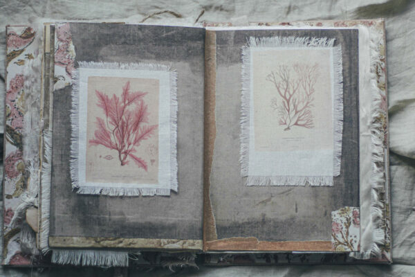 Journal spread with sea weed images