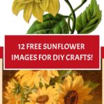 Sunflowers Pin graphic