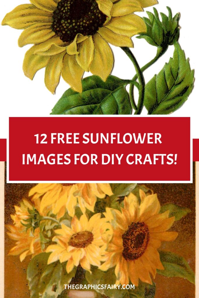 Sunflowers Pin graphic