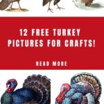 Turkey Pictures for Crafts Pin