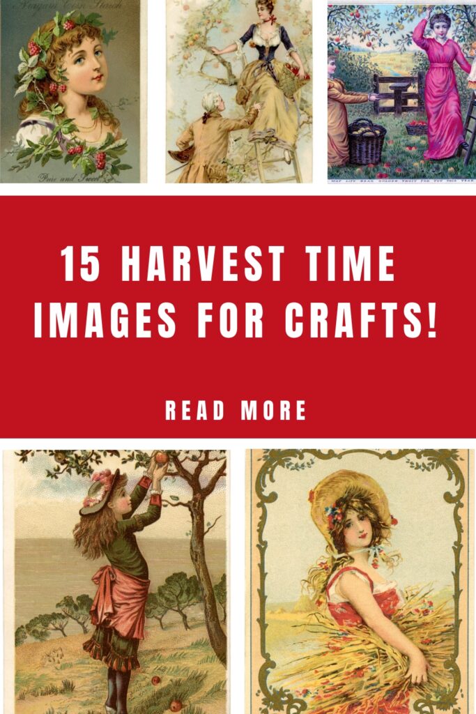 Harvest Time Images Pin