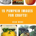 Pumpkin Images Pin