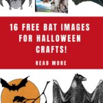 Bat Images for Halloween Crafts Pin