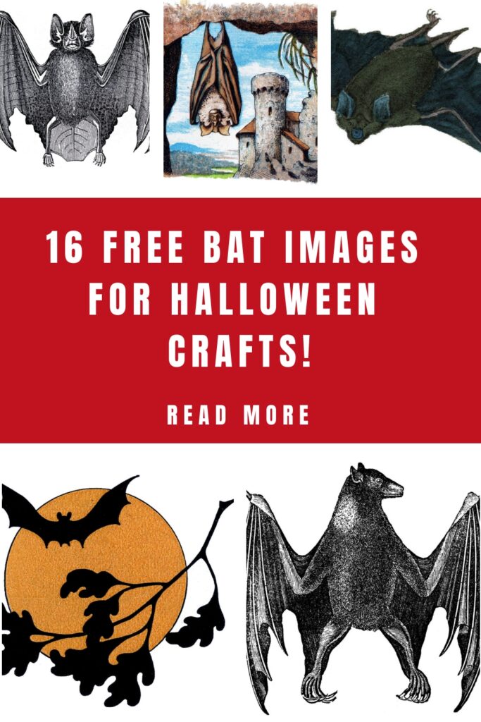 Bat Images for Halloween Crafts Pin