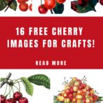 Fruit Images for Crafts pin