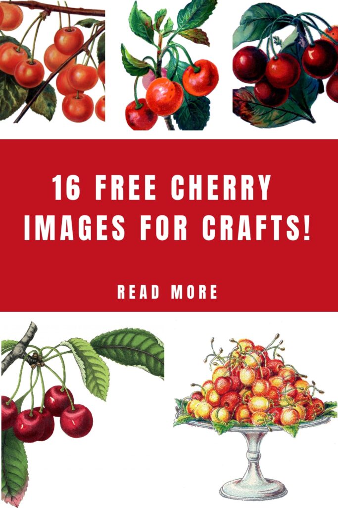 Fruit Images for Crafts pin