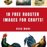 Rooster Images for Crafts