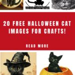 Halloween Cat Pictures for Crafts Pin