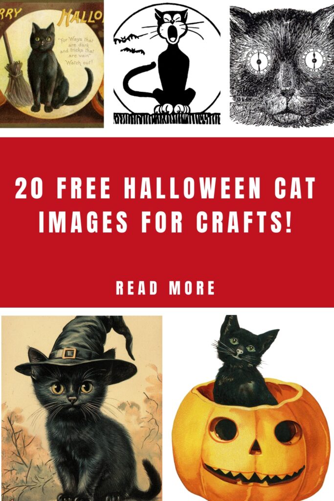 Halloween Cat Pictures for Crafts Pin