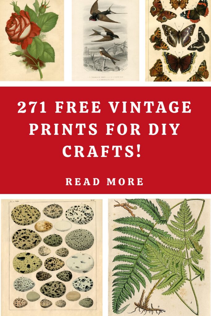 271 Free Vintage Wall Art Prints