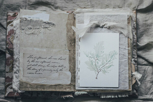 Journal spread with seaweed image