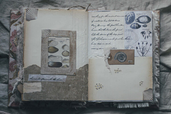 Journal spread with sea shell images